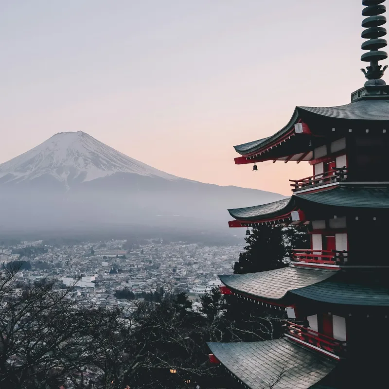 일본 마케팅 상담